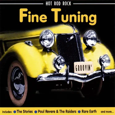 Fine Tuning by Various Artists - album cover