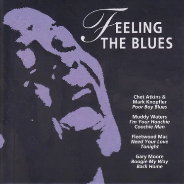 Feeling The Blues by Various Artists - album cover
