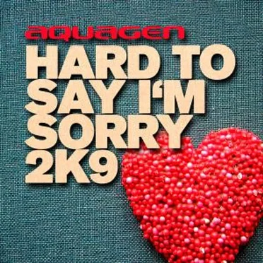 Hard To Say I'm Sorry 2k9