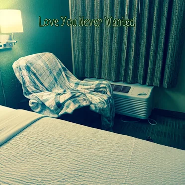 Love You Never Wanted