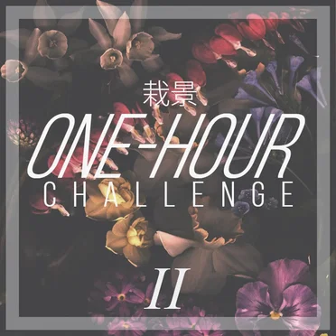 One-Hour Challenge II by Various Artists - album cover