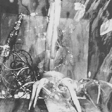 Music from Totems for the Dead Gallery Show