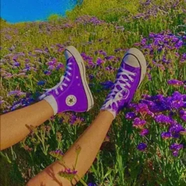 Field of Dreams