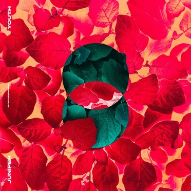 Blood Remembers by Juniper Youth - album cover
