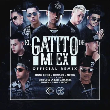 El gatito de mi ex (remix)