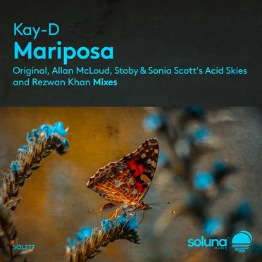 Mariposa by Kay-D - album cover