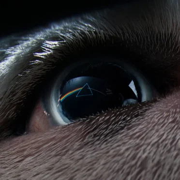 Speak to Me / Breathe