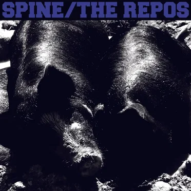 The Repos
