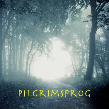 Pilgrimsprog