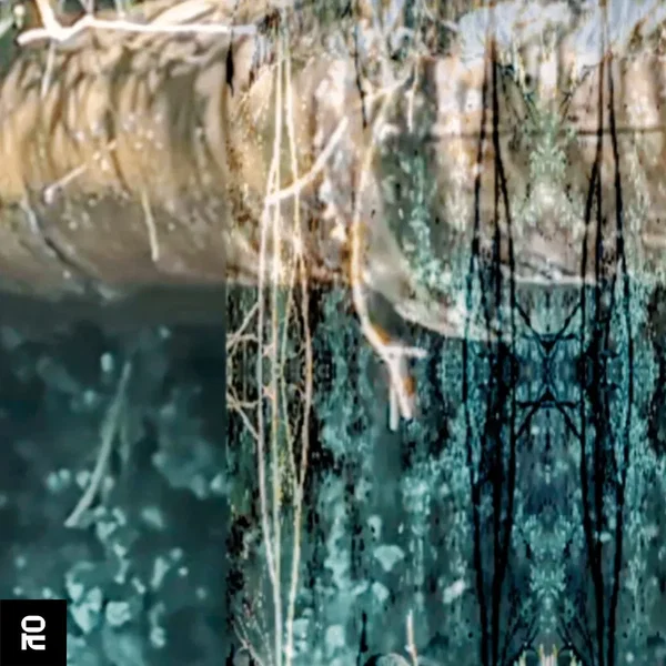 Broken Beats Collection: 2