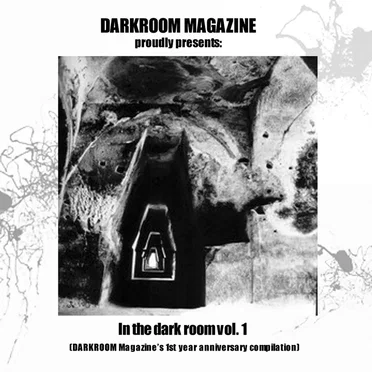 In the Dark Room, Volume 1 by Various Artists - album cover
