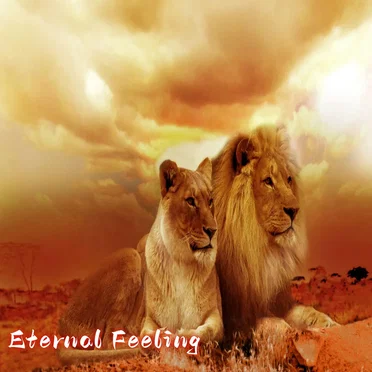 Eternal Feeling