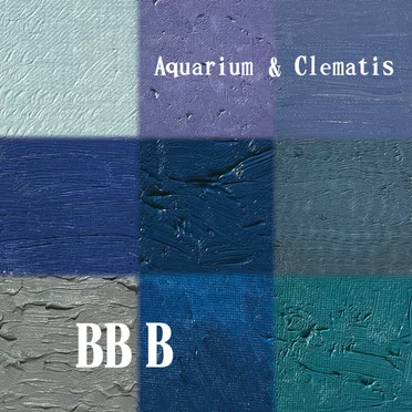 BB/B