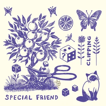Clipping by Special Friend - album cover