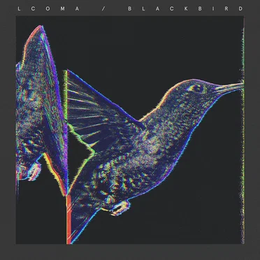 Blackbird by Lcoma - album cover