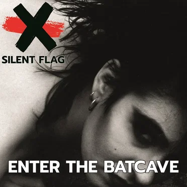Enter the Batcave