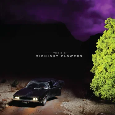 Midnight Flowers by The Dig - album cover