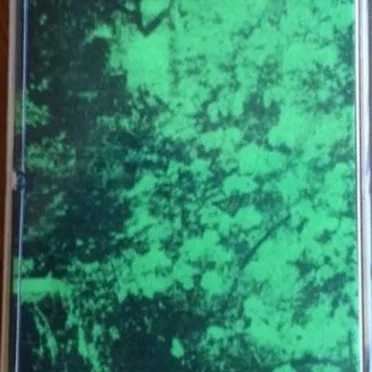 Precession Dub by Feral Love - album cover