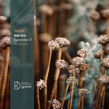 Superposition - The Remixes