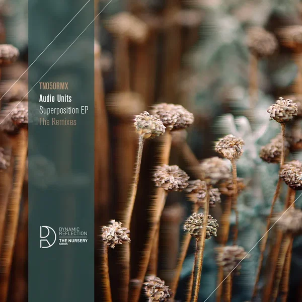 Superposition - The Remixes