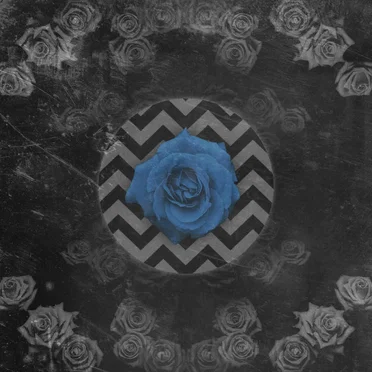 Blue Rose