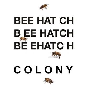 Colony by Beehatch - album cover