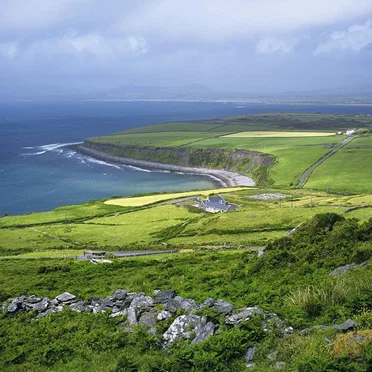 Paddy's Green Shamrock Shore