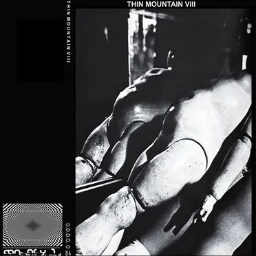 VIII