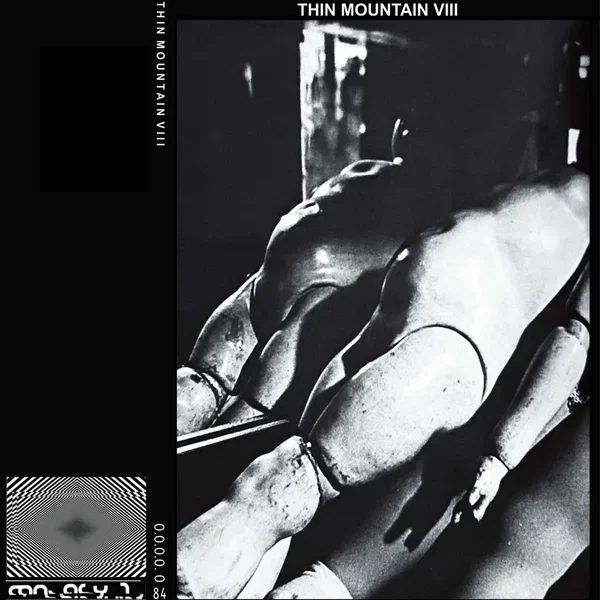 VIII