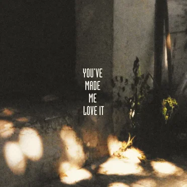 You’ve Made Me Love It by Modest Oda - album cover