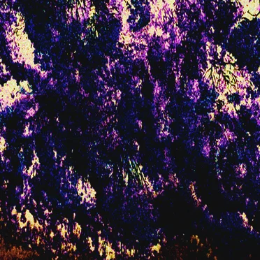 ů̸̠ɹ̶͉̀ə̴̳͊ɟ̵͔̈́