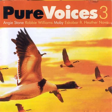 Pure Voices 3 by Various Artists - album cover