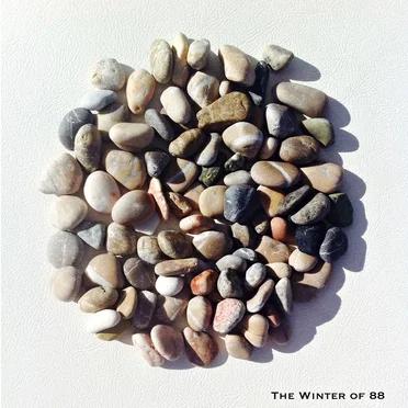 The Winter of 88 by Seafieldroad - album cover