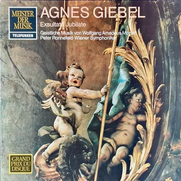 Exsultate Jubilate: Geistliche Musik Von Wolfgang Amadeus Mozart