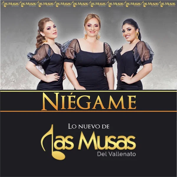Niégame