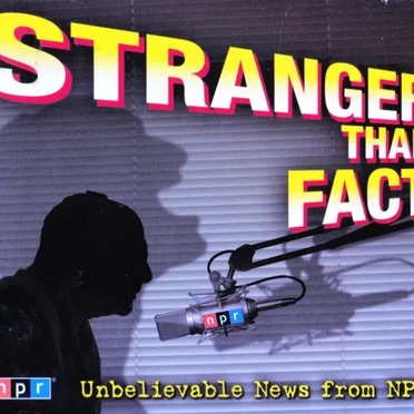 Stranger Than Fact by NPR - album cover