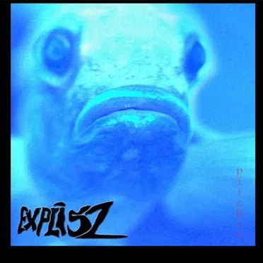 pitchisz by Explisz - album cover