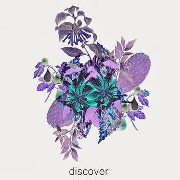Discover