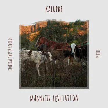 Magnetic Levitation by kalupke - album cover