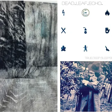 true.deep.sleeper by Dead Leaf Echo - album cover