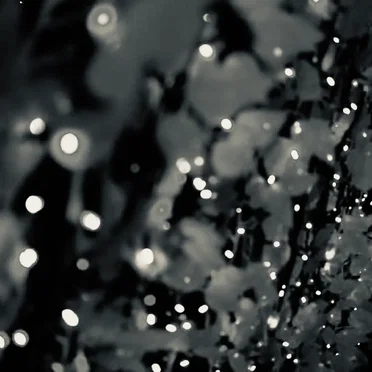 Lights