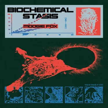 Biochemical Stasis by Moogie Fox - album cover
