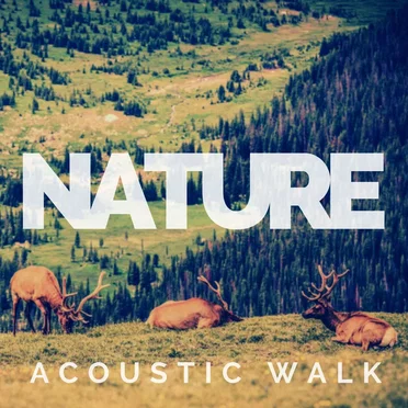 Nature - Acoustic Walk by Various Artists - album cover