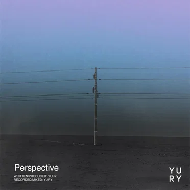 Perspective