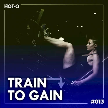 Train To Gain 013 by Various Artists - album cover