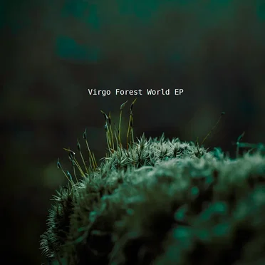 Forest World EP by Virgo - album cover