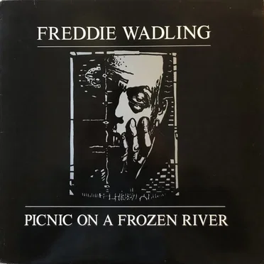 Picnic on a Frozen River