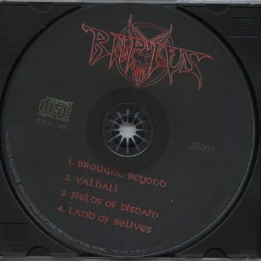 Fields Of Disdain by Raptus - album cover