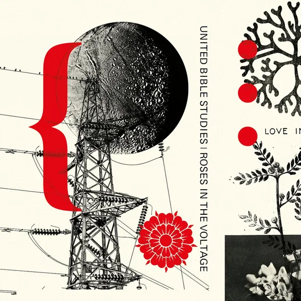 Roses In The Voltage