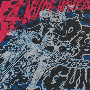 Drop the Gun by 54 Nude Honeys - album cover